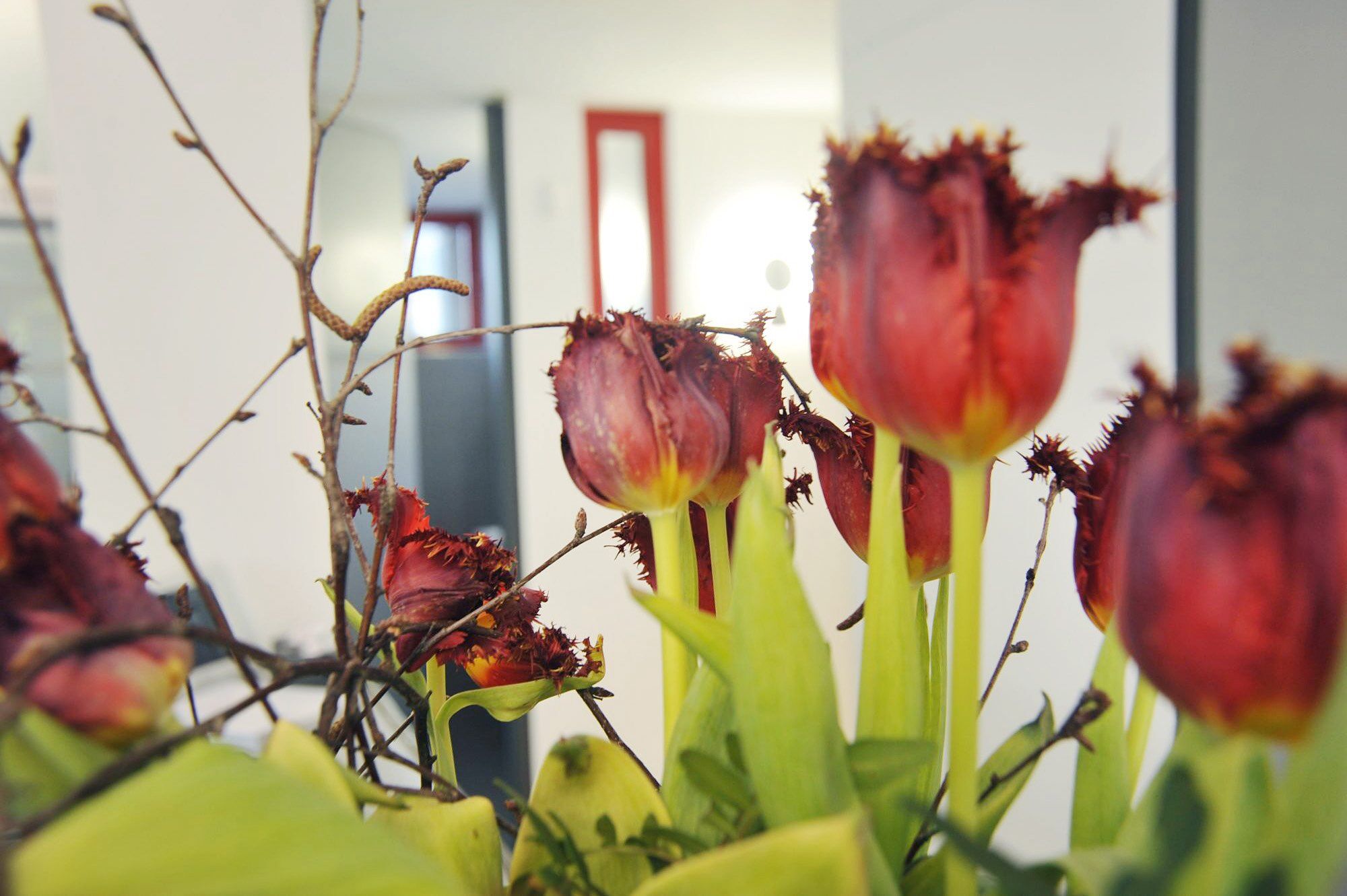 Ein Rundgang durch unsere Praxis