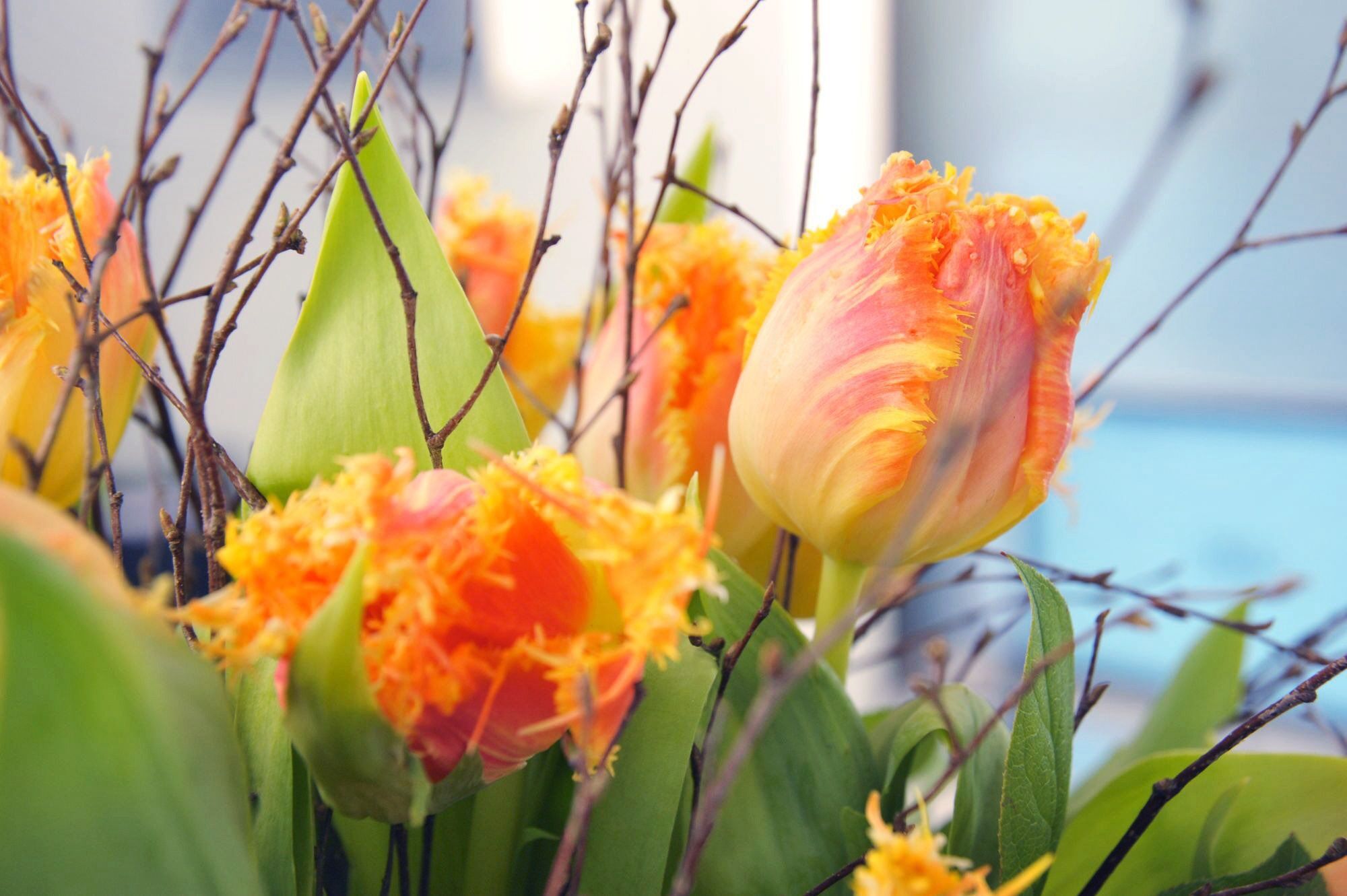 Ein Rundgang durch unsere Praxis